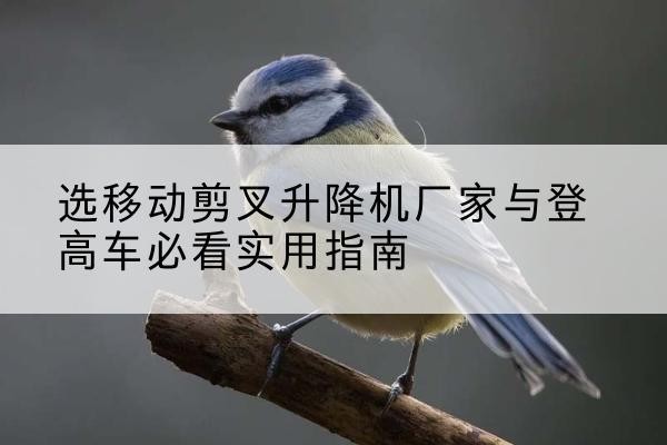 景洪电动升降机厂家-选移动剪叉升降机厂家与登高车必看实用指南