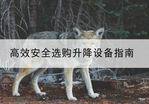 景洪升降货梯厂家推荐-*安全选购升降设备指南