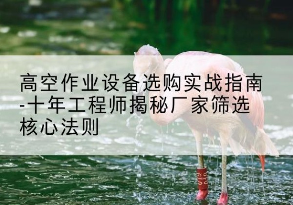 景洪剪叉式升降机厂家-高空作业设备选购实战指南-十年工程师揭秘厂家筛选核心法则