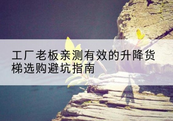景洪升降货梯怎么选-工厂老板亲测有效的升降货梯选购避坑指南